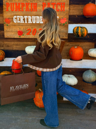 Jacket with Checked Collar / Brown