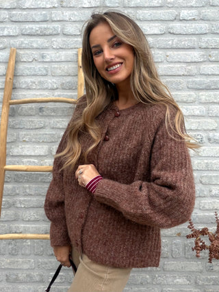 Button Knit Vest / Caramel Brown