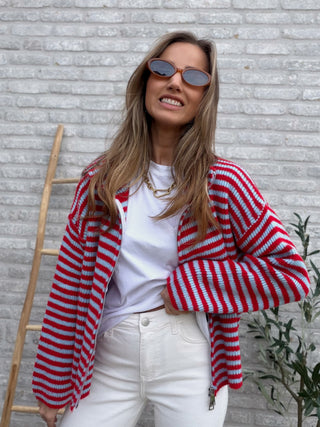 Striped Zip Knit Cardigan / Red-Blue