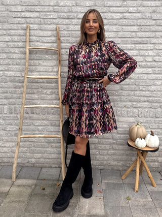 Roselle Pleated Dress / Multi