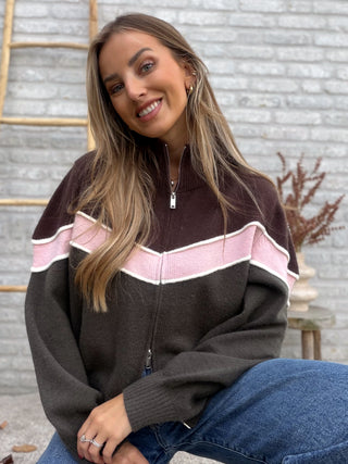 Zip-Up Stripe Knit / Khaki-Brown