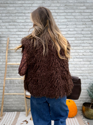 Fluffy Gilet / Chocolate Brown
