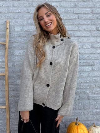 Button Collar Knit / Beige