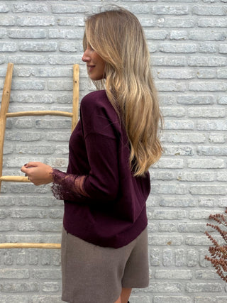Lace Sleeve Knit / Bordeaux
