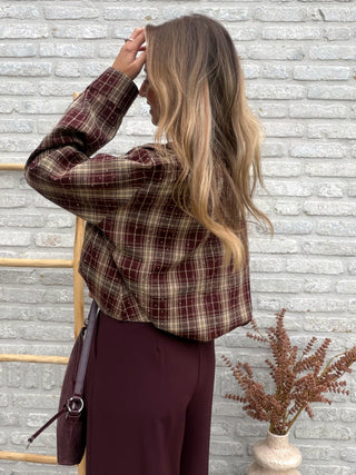 Check Strass Shirt / Taupe-Burgundy