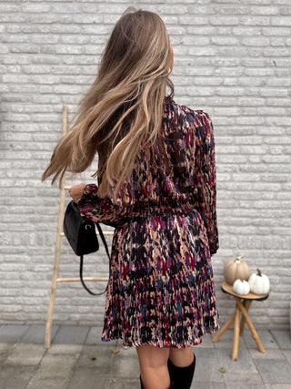 Roselle Pleated Dress / Multi
