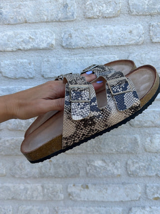 Desert Python Slides / Grey