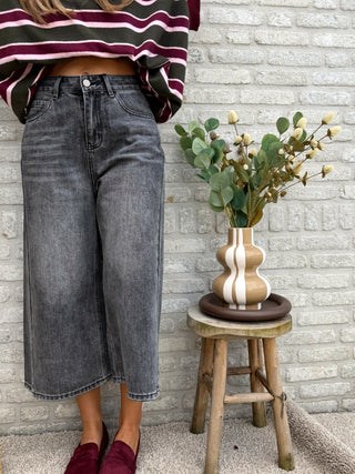 Cropped Wide Leg Jeans / Grey