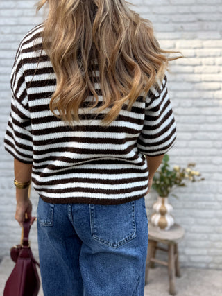 Zip Stripe Knit / Brown-Beige