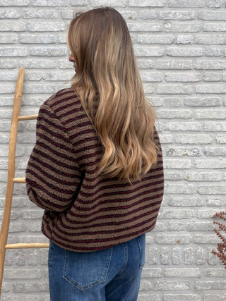 Striped Teddy Zip / Brown-Bordeaux