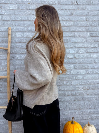 Button Collar Knit / Beige