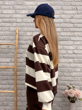 Striped Polo Blouse / Beige-Brown