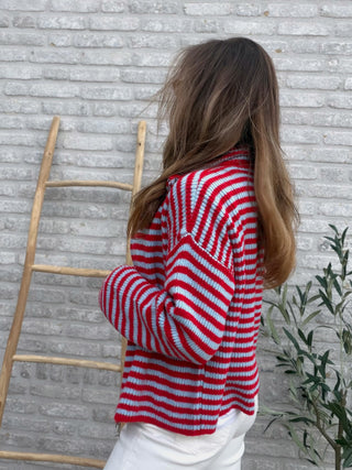 Striped Zip Knit Cardigan / Red-Blue