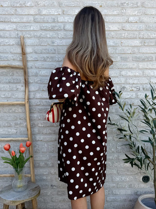 Polka Dot Dress / Brown