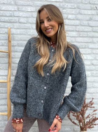 Button Knit Vest / Grey