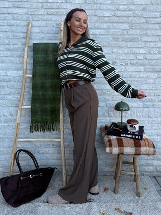 Striped Knit Polo / Forest Green