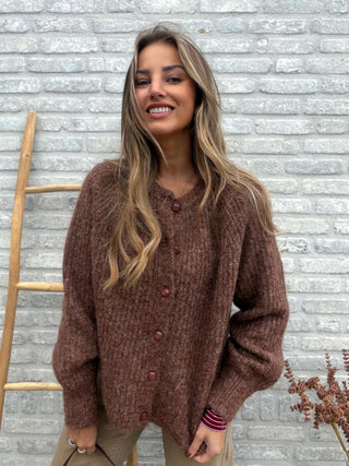 Button Knit Vest / Caramel Brown