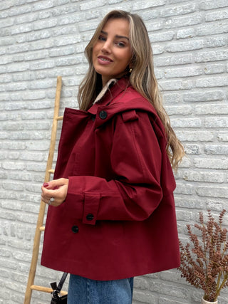 Hooded Trench Jacket / Bordeaux