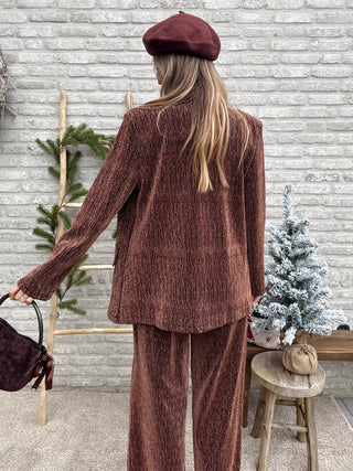 Shimmering Blazer / brown