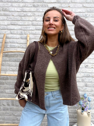 Soft Knit Vest / Brown