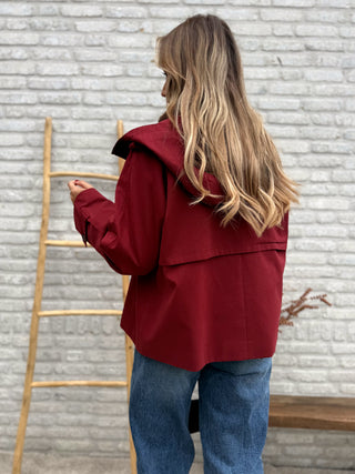 Hooded Trench Jacket / Bordeaux