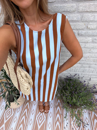 Cotton Stripe Dress / Brown-Blue