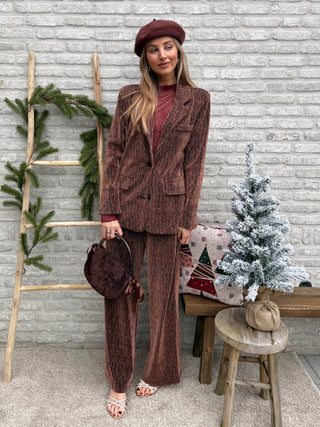 Shimmering Blazer / brown