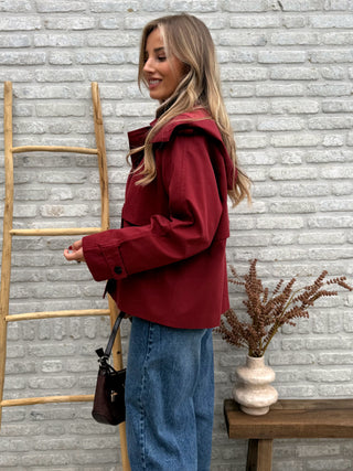 Hooded Trench Jacket / Bordeaux