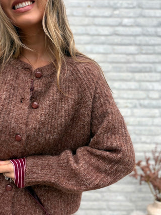 Button Knit Vest / Caramel Brown