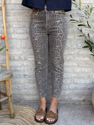 Leopard Mom Jeans / Brown