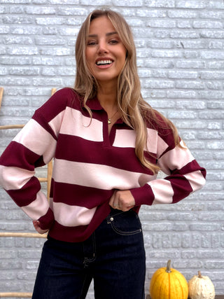 Striped Polo Knit / Bordeaux-Pink
