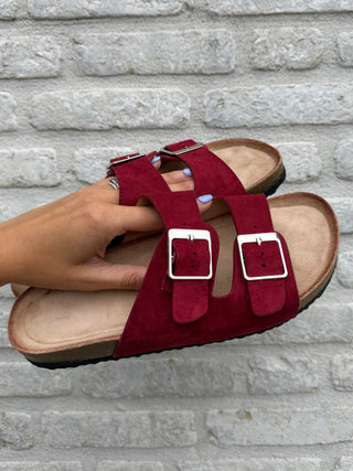 Double Buckle Slides / Bordeaux