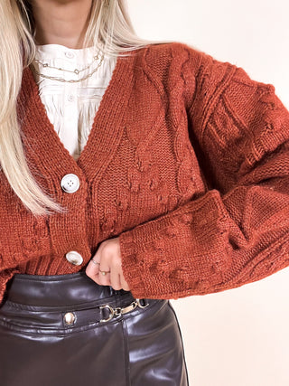 Buttoned Cardigan WIth Detail / Rust