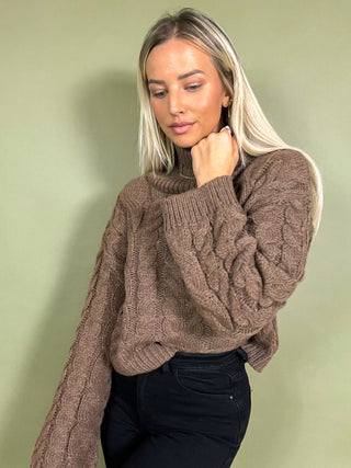 Turtle Neck Cropped Knitted Cable Sweater / Brown